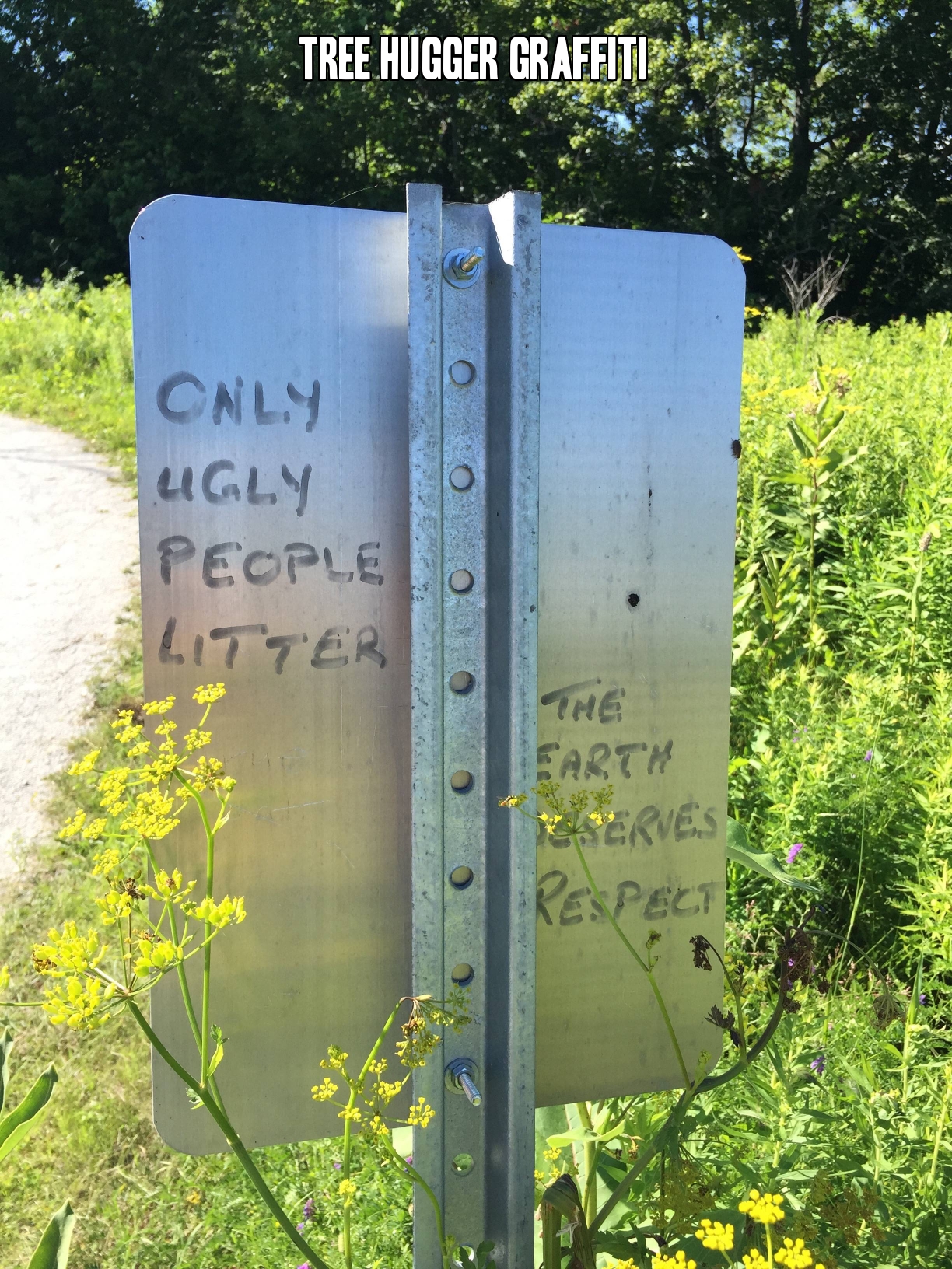 tree hugger graffiti.