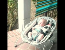 Puppy jumps up with Baby so they can both take a nap together. Too cute.