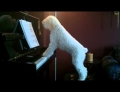 Talented dog sings and plays piano.