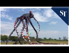 Giant octopus kite.