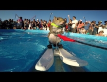 Twiggy the waterskiing squirrel.