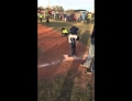 Batter was taking too long so this little baseball player decides to bust a move on first base.