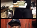 50 Cent files for bankruptcy. He is going to have to change his eating habits.