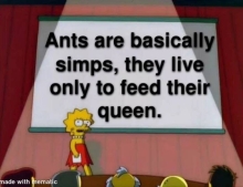 Ants are simps.