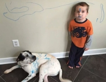 Children love to draw on the walls but this kid got the dog involved also.