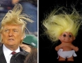 Donald Trump vs Troll Doll. Which one has better hair?