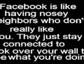 Facebook is like having nosey neighbors.