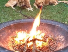 Fire Breathing Dog Spits Huge Flames From It's Mouth.......Or Maybe It's Just The Camera Angle. 