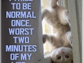 I tried to be normal once...