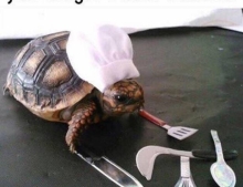 Just bought a slow cooker.