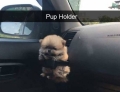 Pup holder.