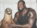 Shaquille O'Neal posing with a sea lion.