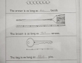 Smart kid aces his test.