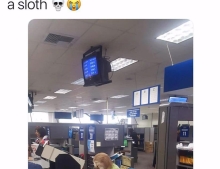 This DMV employee chose the perfect costume for Halloween.