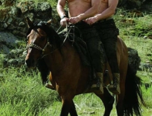 Topless Vladimir Putin and Donald Trump riding a horse.