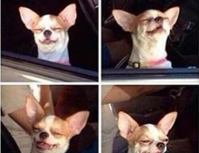 When you drive by your favorite fast food restaurant and you can smell it.