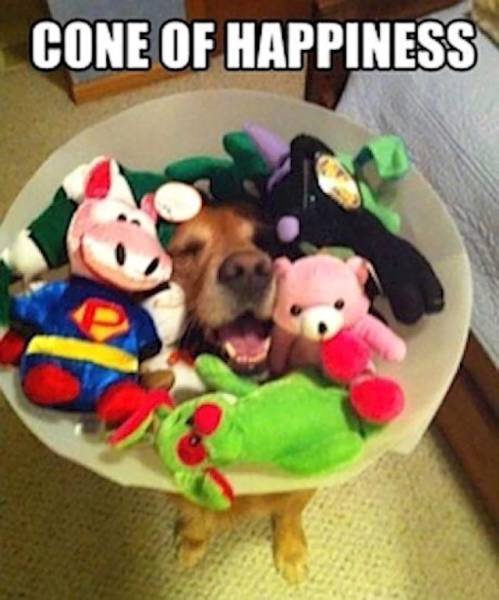 Cone of happiness.