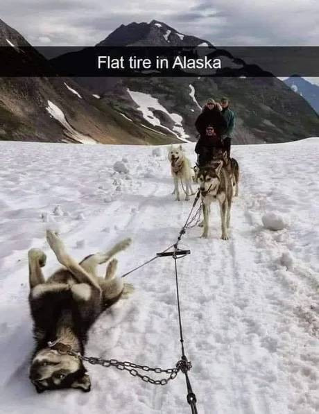 Flat tire in Alaska.