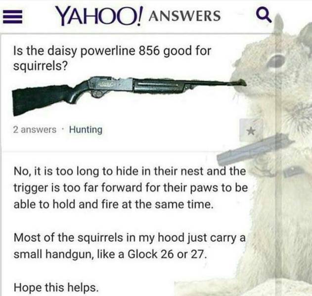 Is this gun good for squirrels?