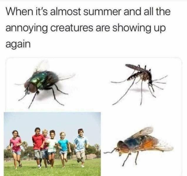 When it's almost summer and all the annoying creatures are showing up again.