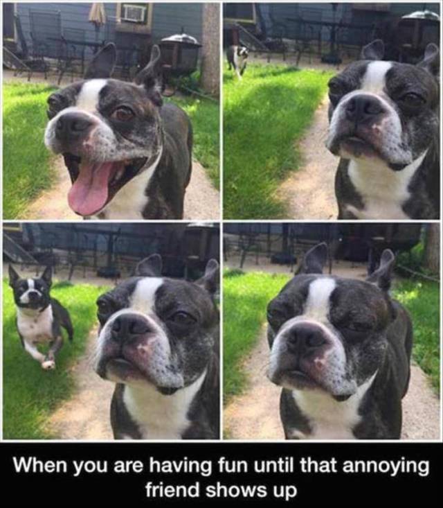When you are having fun until that annoying friend shows up.