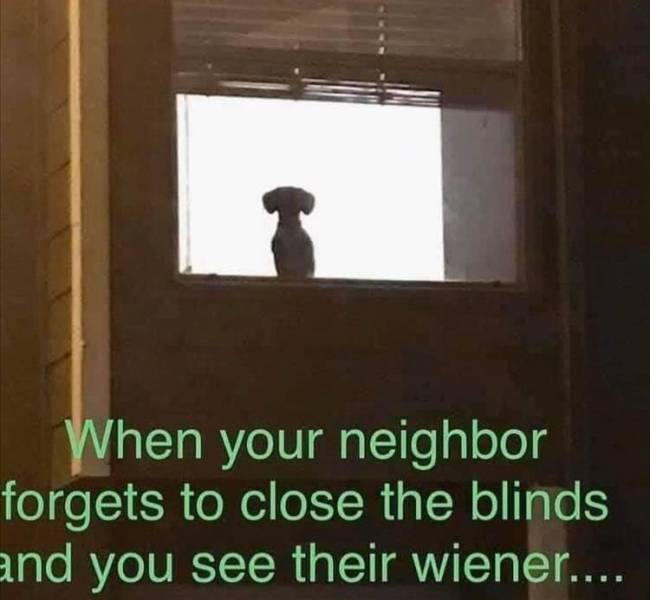 When your neighbor forgets to close the blinds and you see their wiener.