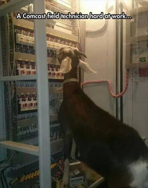 A Comcast field technician hard at work.