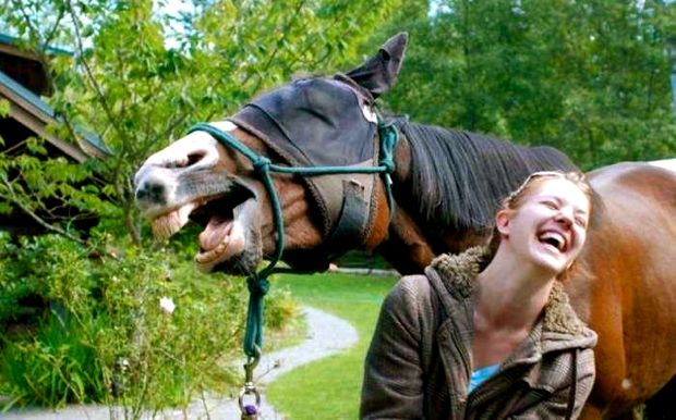A Woman And Her Horse Have A Great Laugh Together. It Must Have Been A Good Joke.