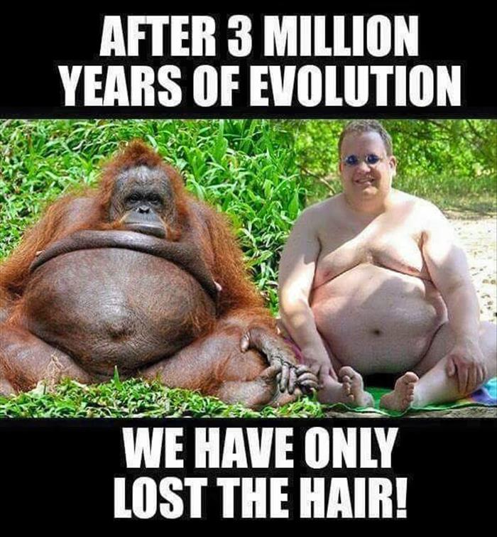 After 3 million years of evolution, we have only lost the hair.