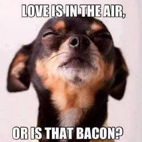 Ahhh Yes Love Is In The Air...Or Is That Bacon? 