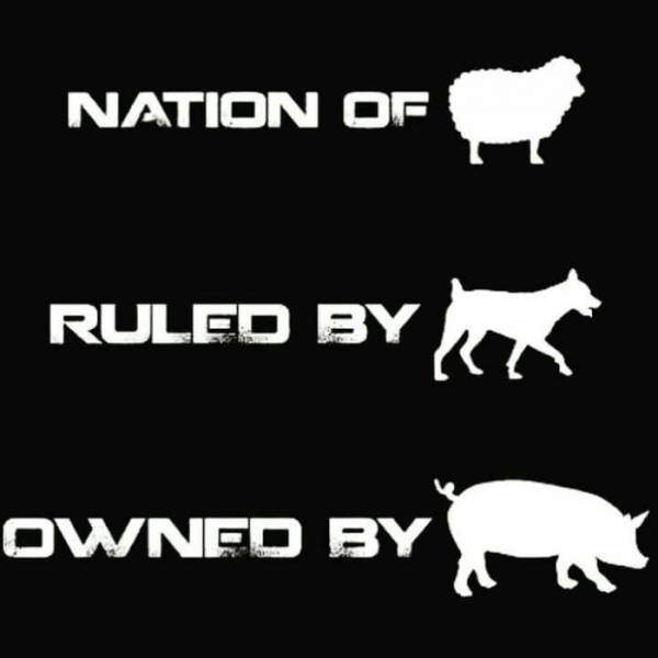 America summed up in one picture.