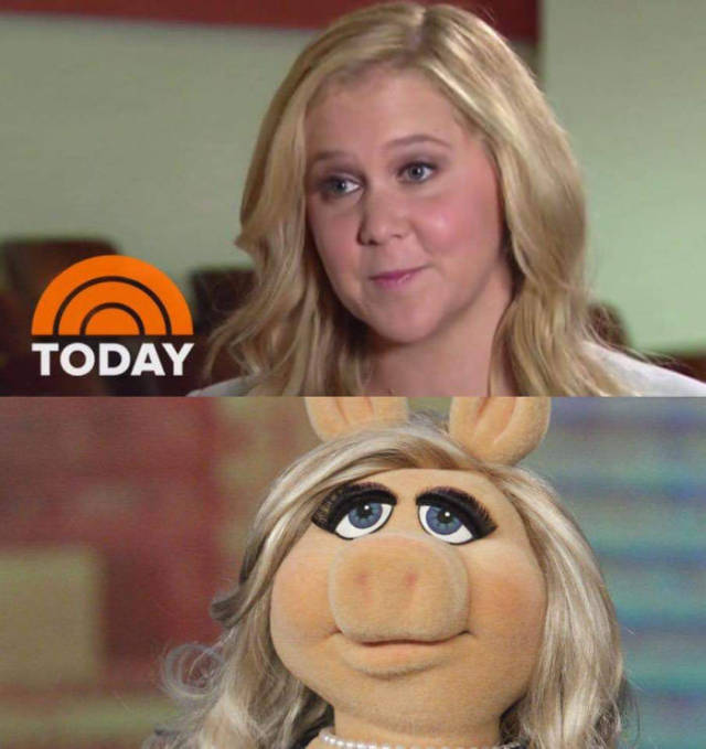 Amy Schumer looks much more like Miss Piggy than Barbie.
