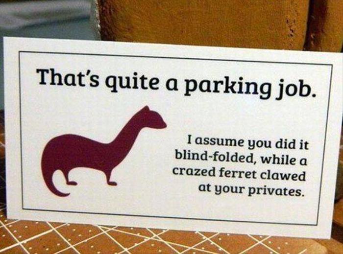 Bad parking and a ferret.