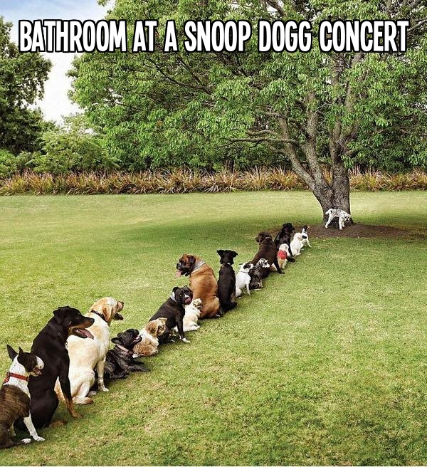 Bathroom at a Snoop Dogg concert.