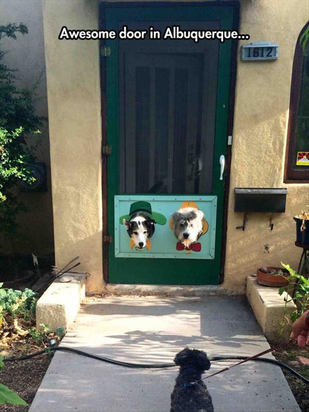 Best Front Door Ever And I Am Sure Those Dogs Love It Too