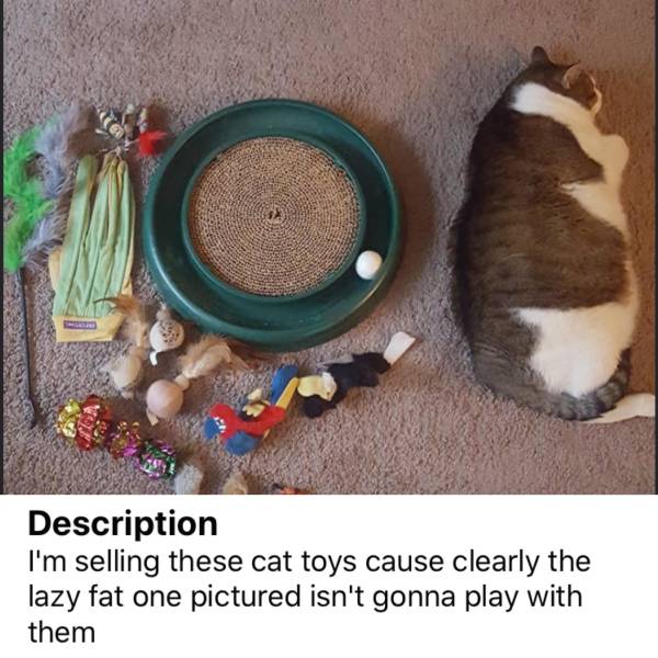 Cat toys for sale.
