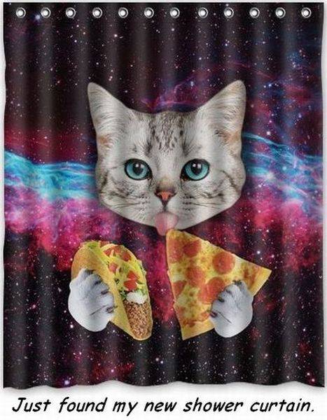 Cat eating a taco and pizza? Just found my new shower curtain.