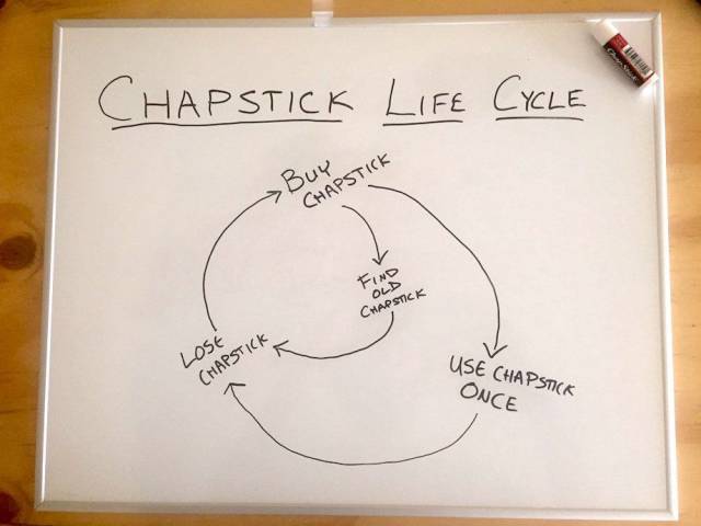 ChapStick life cycle.