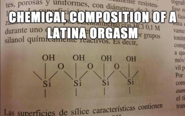 Chemical composition of a latina orgasm.