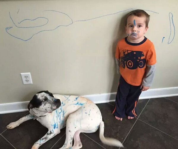Children love to draw on the walls but this kid got the dog involved also.