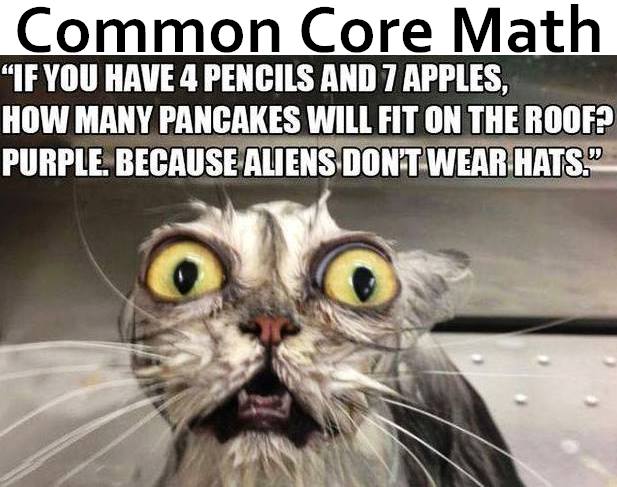 Common Core Math Takes 20 Steps To Find Out What 2+2 Equals.