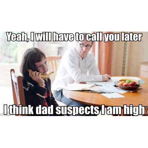 Yeah, I will have to call you later. Dad thinks I'm high. Hello?