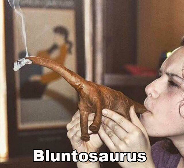 Custom creation named the Bluntosaurus.