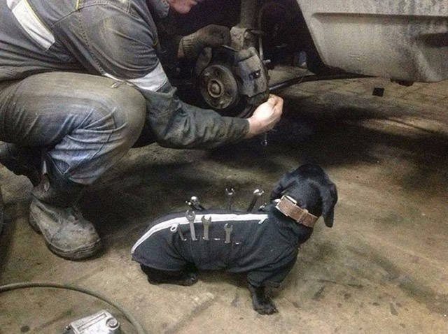 Mechanic's best friend.