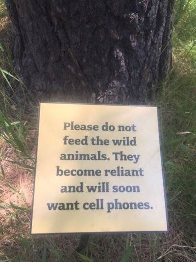 Do not feed the wild animals.