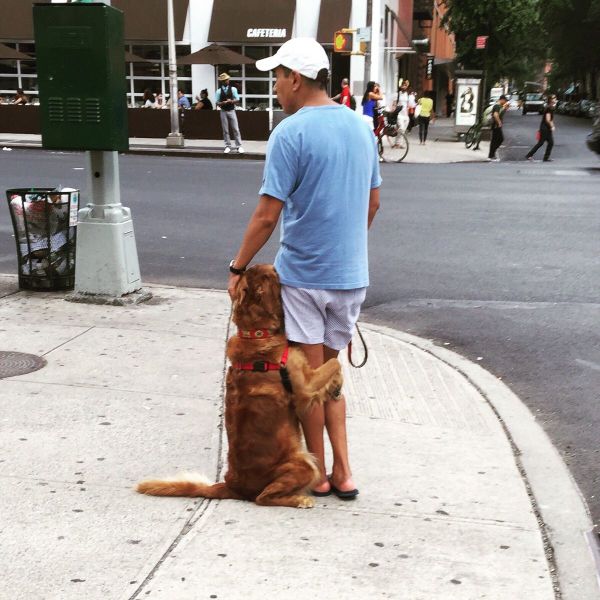 Dog is not afraid to hug in public.