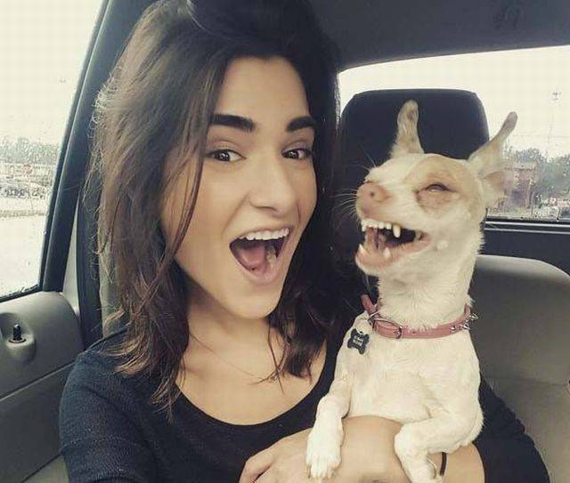 This dog really knows how to smile for the camera.