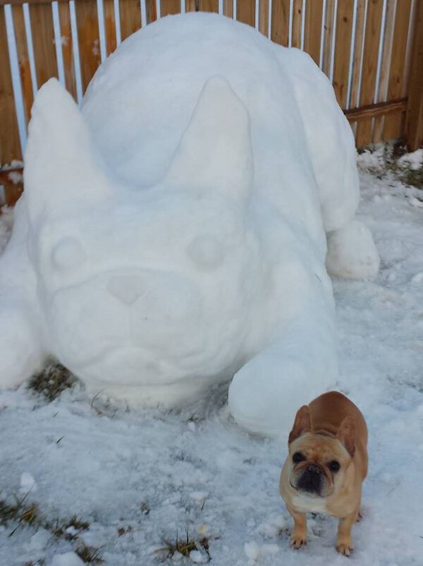 Doggy snow sculpture looks exactly like the real thing.