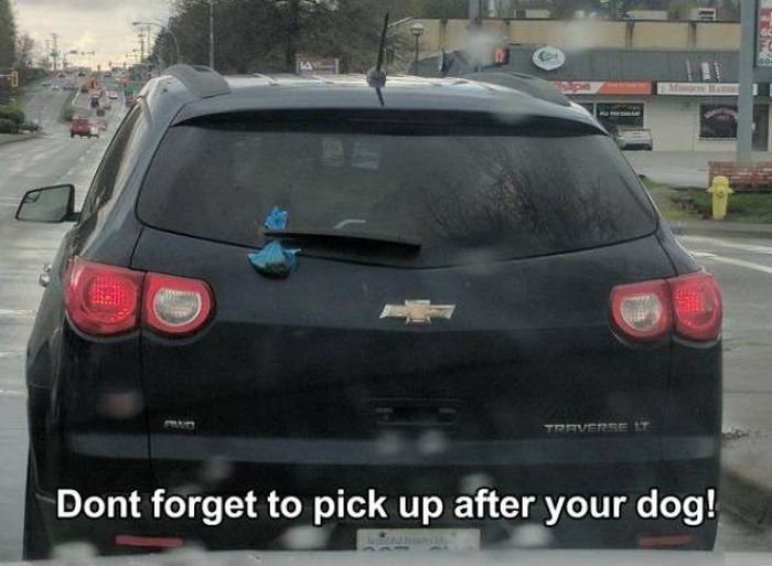 Don't forget to pick up after your dog!
