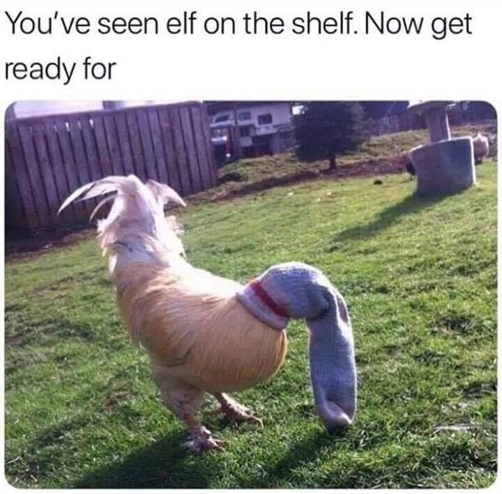 Elf on the shelf has some stiff competition.